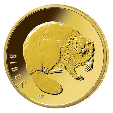 Rckkehr der Wildtiere Biber 2024 Goldmnze - 20 Euro