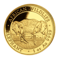 Goldmnze Somalia Elefant 2020 - 1/10 Unze