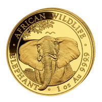 Goldmnze Somalia Elefant 2021 - 1/10 Unze