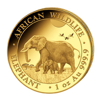 Goldmnze Somalia Elefant 2022 - 1/10 Unze