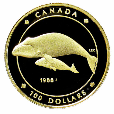 Goldmnze 1/4 Unze 100 Dollar Canada Grnlandwal 1988 PP in Kapsel